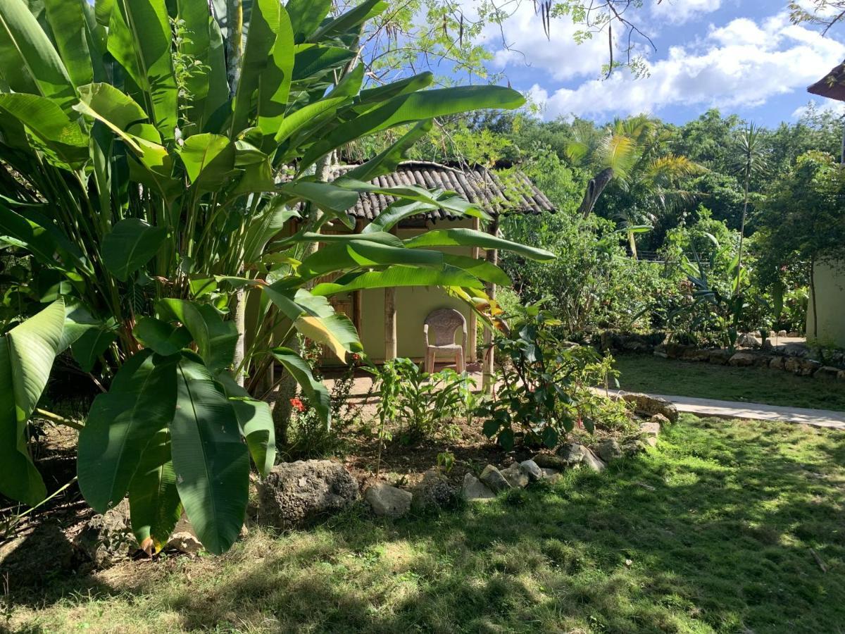 Can Jam Retreat Negril Eksteriør billede