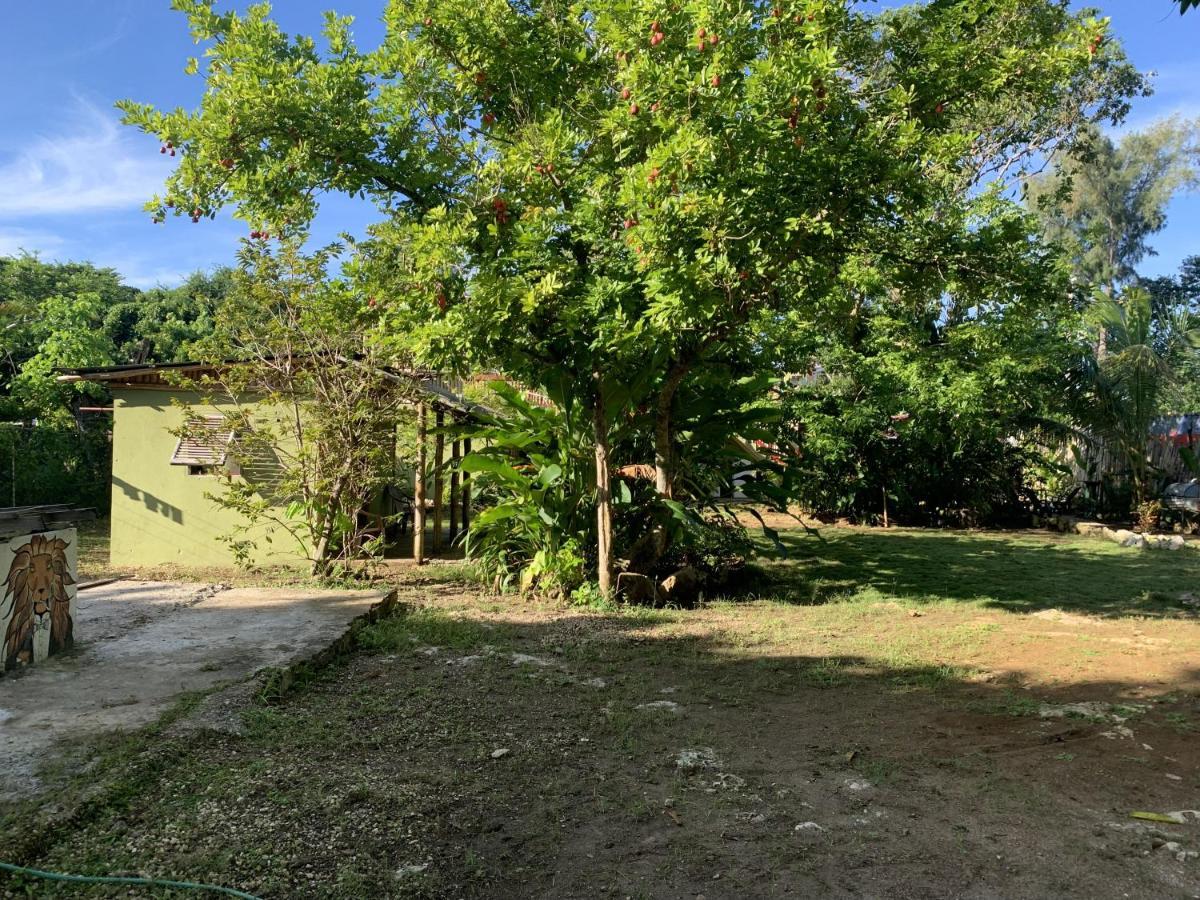 Can Jam Retreat Negril Eksteriør billede