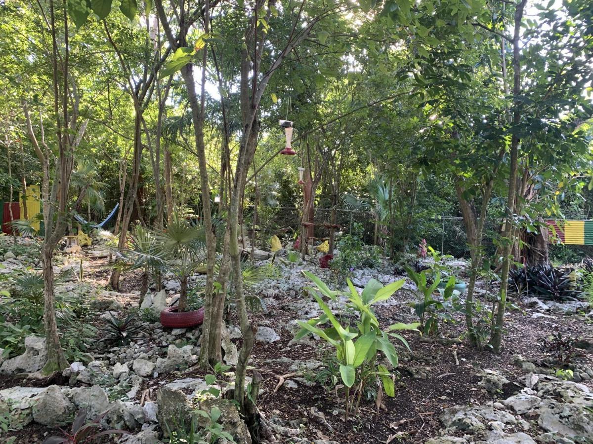 Can Jam Retreat Negril Eksteriør billede