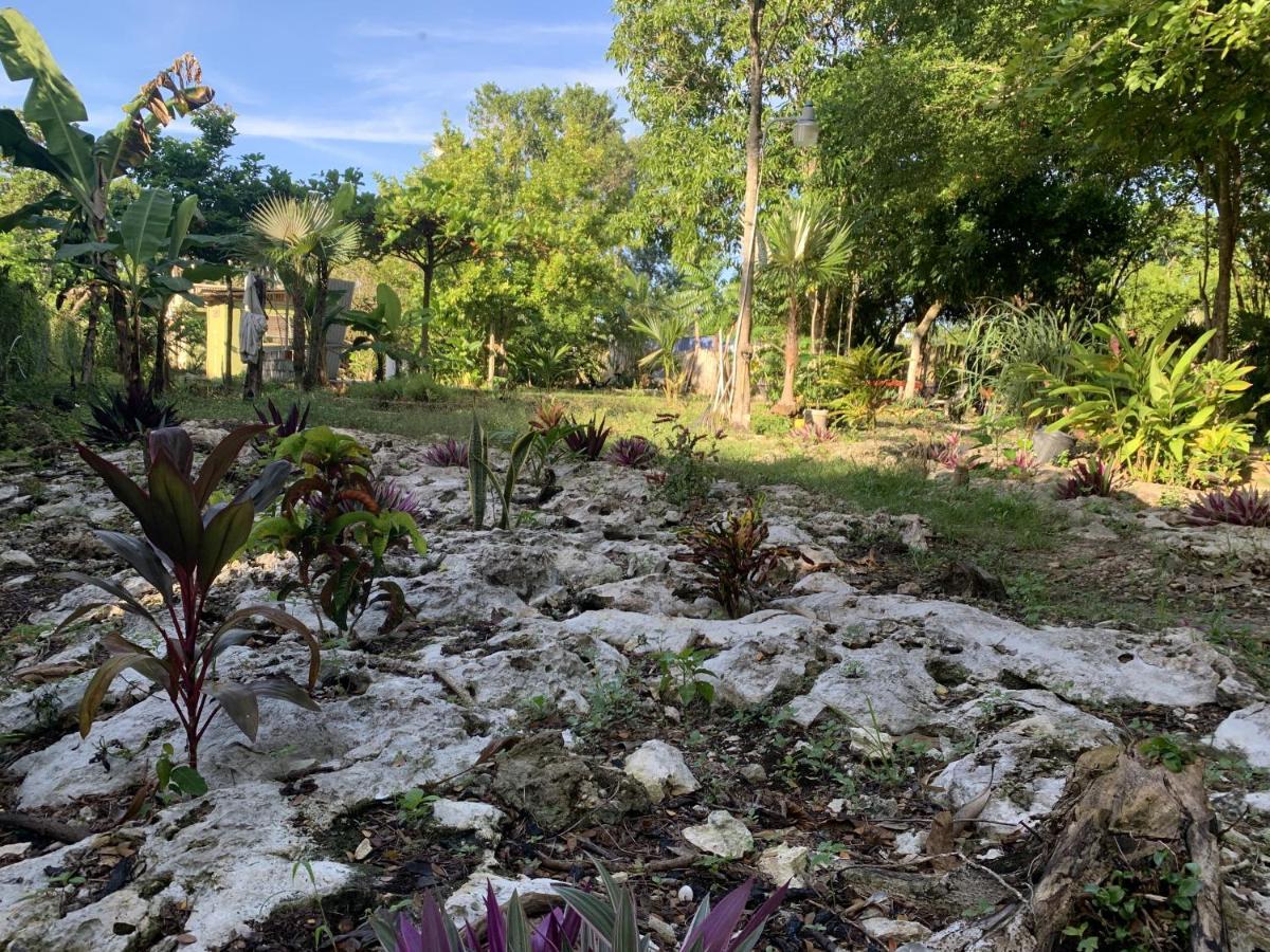 Can Jam Retreat Negril Eksteriør billede