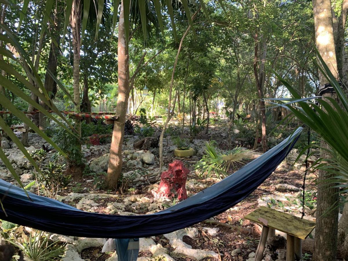 Can Jam Retreat Negril Eksteriør billede