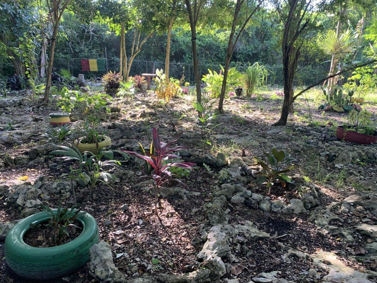 Can Jam Retreat Negril Eksteriør billede