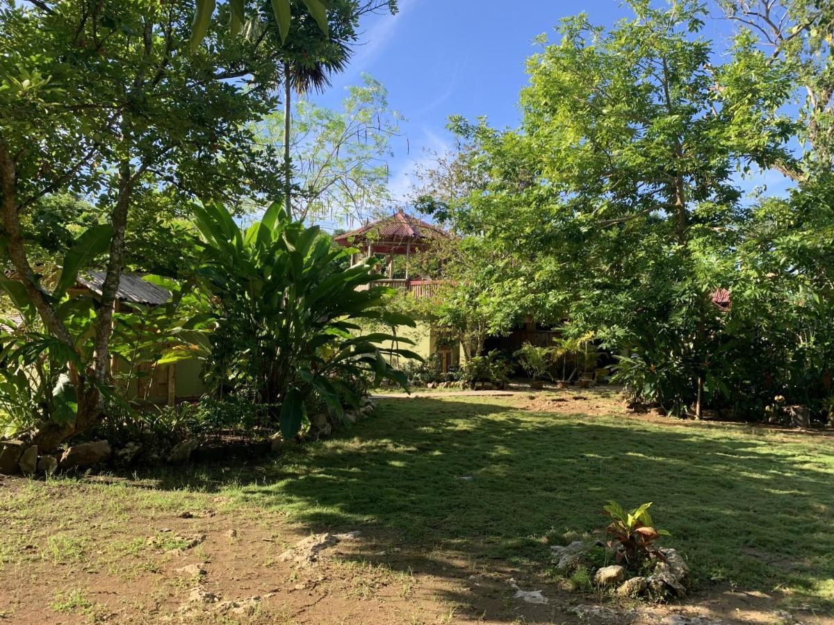 Can Jam Retreat Negril Eksteriør billede