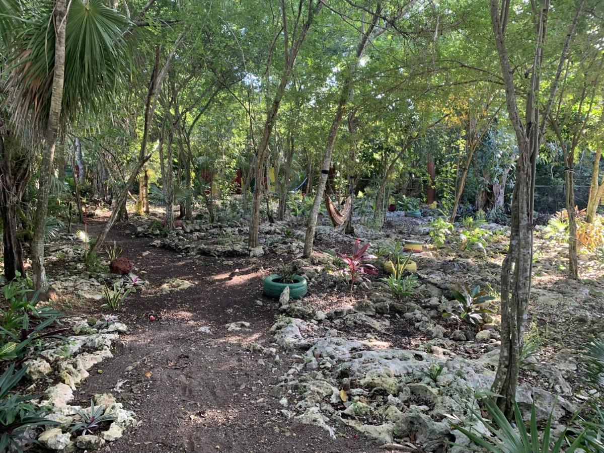 Can Jam Retreat Negril Eksteriør billede